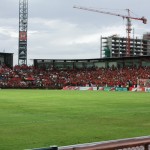 tpl_0017